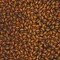 Skulls in Ember (srkd-22480-285) | Dreadful Delights | Robert Kaufman